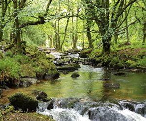 golitha falls bodmin cornwall days out ideas things to do ideas weekend ideas family day out walking cornwall south west coast path
